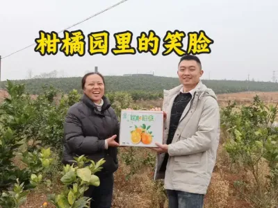 见证！华维科技赋能，东安脐橙 &ldquo;量&rdquo;&ldquo;质&rdquo; 齐飞。#华维灌溉成套好用  #柑橘灌溉 #水肥一体化