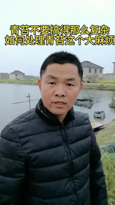 青苔不要搞得那么复杂 #水产养殖 #河蟹养殖