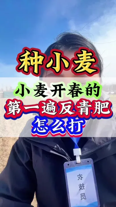小麦开春的第一遍反青肥怎么打#小麦 #小麦管理 #小麦高产技术 #小麦种植 #小麦增产