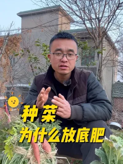 种菜为什么要放底肥？底肥的作用有哪些？#关注我一起学种菜 #种植小技巧 #我的小菜园 #我爱种菜