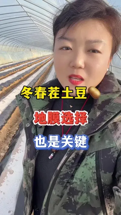 土豆种植地膜选择也是关键#土豆 #土豆高产种植 @抖音小助手