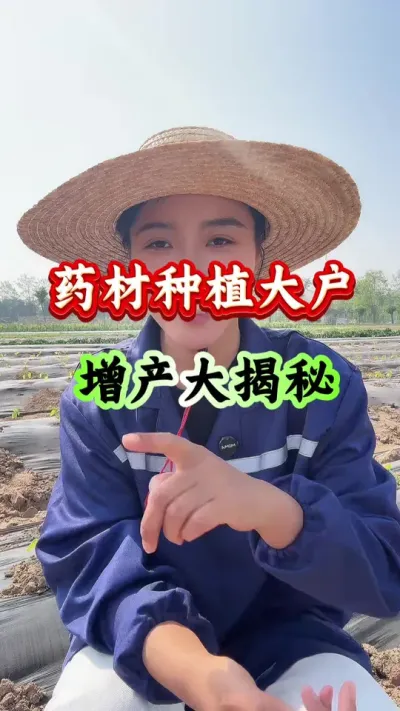 药材种植 药材种植大户增产大揭秘 #药材种植 #药材管理 #药材高产