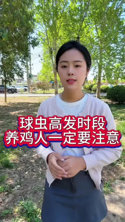 球虫高发时段养鸡人一定要注意 #科学养鸡 #鸡鸭鹅养殖 #服务三农支持三农 #养殖小妙招 #养鸡人