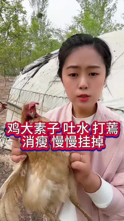 鸡大素子吐水打蔫消瘦慢慢挂掉#养鸡#鸡病防治#科学养鸡#散养土鸡#养鸡妙招