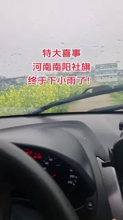 下雨了小麦应该怎样管理#抖音助农 #小麦#新农人#种植#朝晖农资