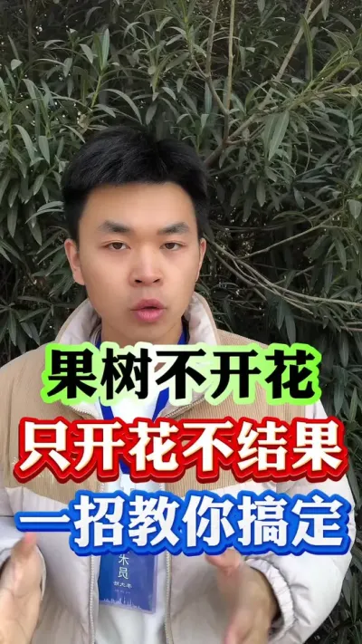 果树不开花，开花少，只开花不结果，一招教你解决#果树种植 #果树管理 #果园管理 #柑橘种植