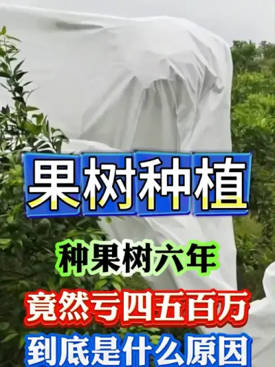 果树开春后管理，最关键的时间节点#果树种植 #果树管理 #果园管理