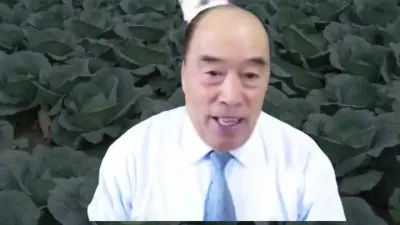 甘蓝的超高产冬季管理技术方案#耐寒羽衣甘蓝 #白菜种植方法和管理方法 #羽衣甘蓝种子 #甘蓝花怎么养