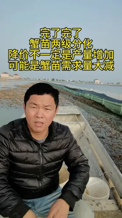 蟹苗两极分化，未来何去何从 #水产养殖 #养蟹发哥 #养蟹 #大闸蟹养殖