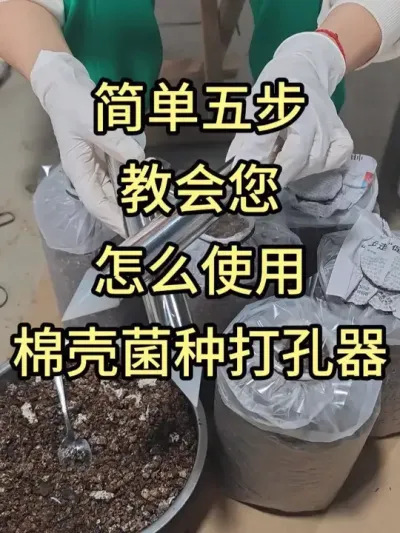 简单五步，教会您怎样使用棉壳菌种打孔器。#平菇种植 #打孔器 #菌种打孔器