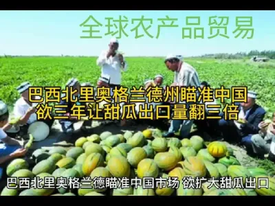 #巴西北里奥格兰德州瞄准中国：欲借市场空档，让甜瓜出口量三年翻三倍@云食界展贸服务平台