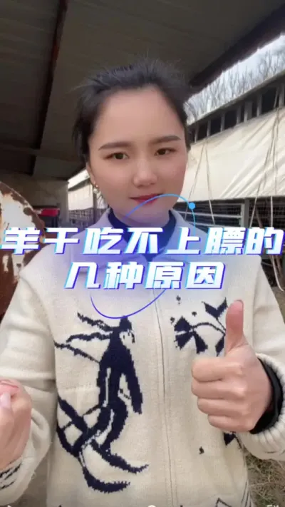 羊干吃不上膘的原因#羊价行情 #养羊知识 #养羊人 #自繁自养 #农村创业养殖