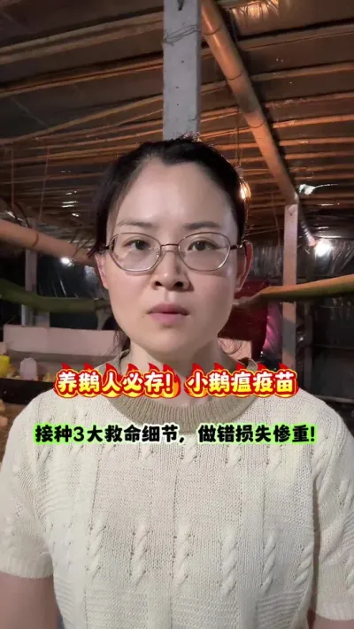 养鹅人必存！小鹅瘟疫苗接种3大救命细节，做错损失惨重！#狮头鹅 #鹅 #养鹅 #养鹅人 #养鹅技术分享