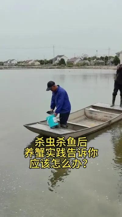 怎么办？ 杀虫杀鱼后怎么办？#水产养殖 #河蟹养殖