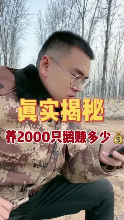 揭秘！养2000只鹅能赚多少钱！我先来说，我赚了20w[旺柴]你不信？你听我给你说啊！#养鹅技术找晓雨