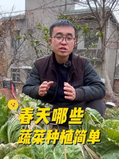 春天哪些蔬菜种植比较简单？哪些蔬菜容易种？#关注我一起学种菜 #我的小菜园 #种植小技巧 #我爱种菜 #在家种菜