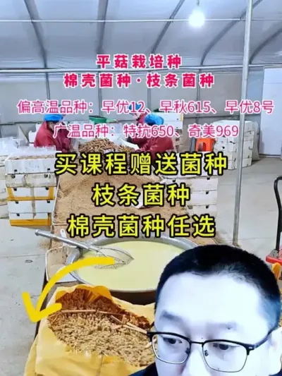 课程全部都是技术干货，还赠送枝条菌种或棉壳菌种任选，超值推荐。#平菇种植 #种植课程 #技术干货 #平菇菌种