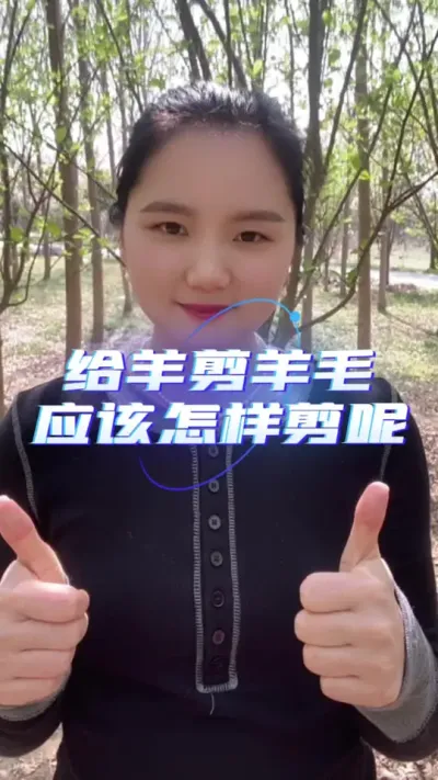 给羊剪羊毛应该怎么剪呢#养羊知识 #羊价行情 #自繁自养 #服务三农支持三农 #养羊技术分享