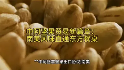 中阿坚果贸易新篇章：南美风味直通东方餐桌#每日分享 @云食界展贸服务平台