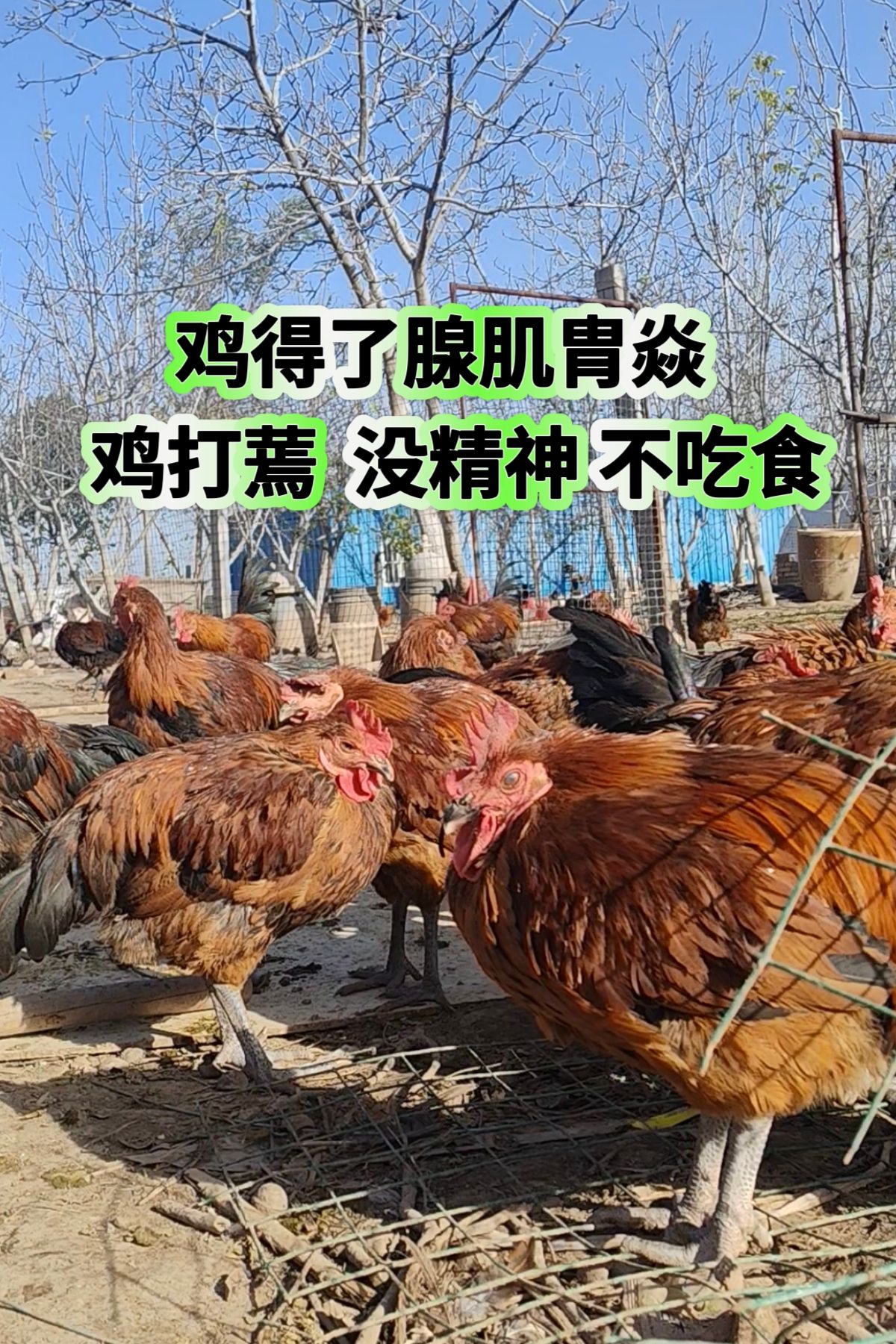 http://static.ixuenong.com/pxn/uploads/prod/thirdfile/2025/05/dafbcda12af4598e70e5f24ec55f684d.jpg