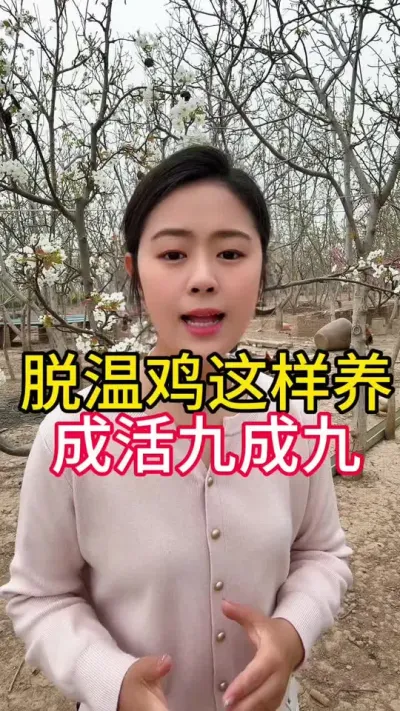脱温鸡这样样成果九成九 #养鸡#科学养鸡#散养土鸡#养鸡妙招#鸡病防治