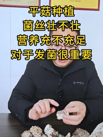 平菇种植，关于发菌，菌种质量很重要，需要优质菌种的老板联系我。#平菇种植 #平菇菌种 #食用菌栽培种 #栽培种