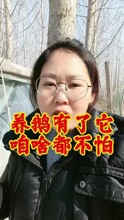 养鹅有了它，咱啥都不怕#养鹅技术分享 #养鹅 #鹅 #养鹅人 #三农
