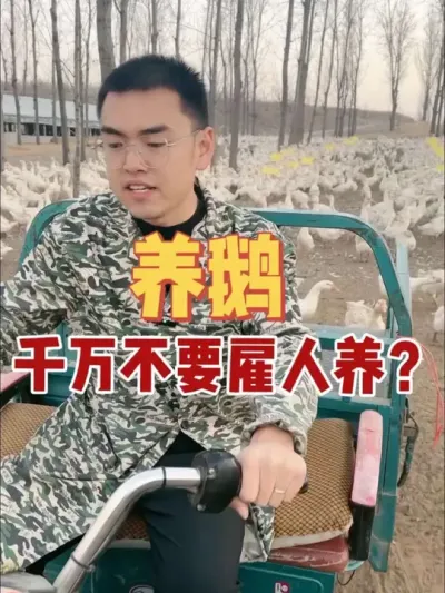 为啥不能雇人养鹅？很多养殖朋友在这个上面吃过很多亏，究竟为啥？我给您展开说说，您就知道了！#养鹅人 #养鹅技术分享 #养鹅 #养鹅技术找晓雨