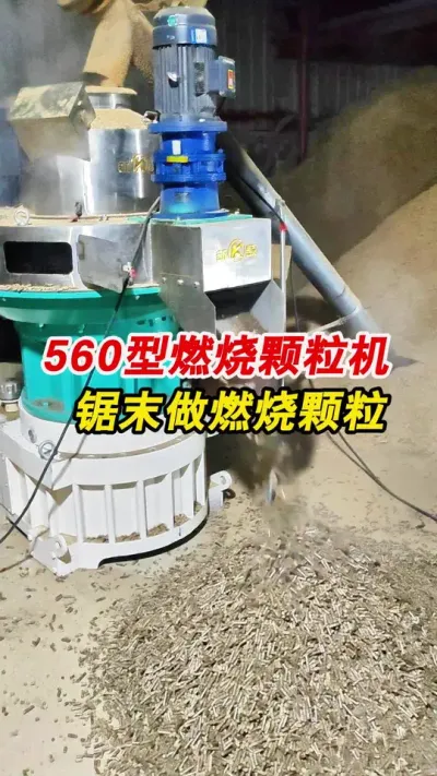 甘肃客户560型环模颗粒机制作锯末燃烧颗粒。#颗粒机 #生物质颗粒机 #燃烧颗粒