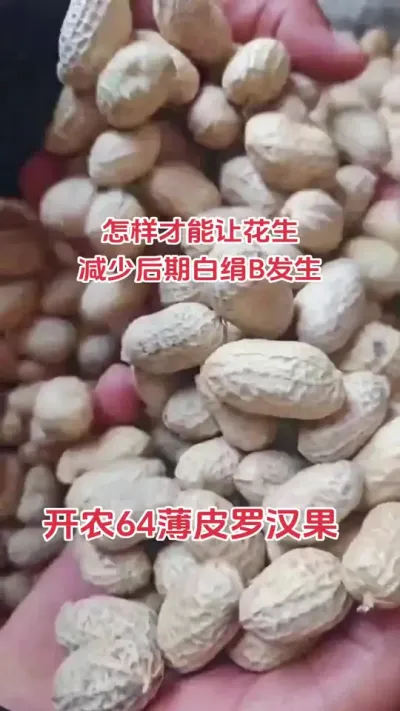 #花生 #抖音助农 #助农行动 #三农 #农业种植技术