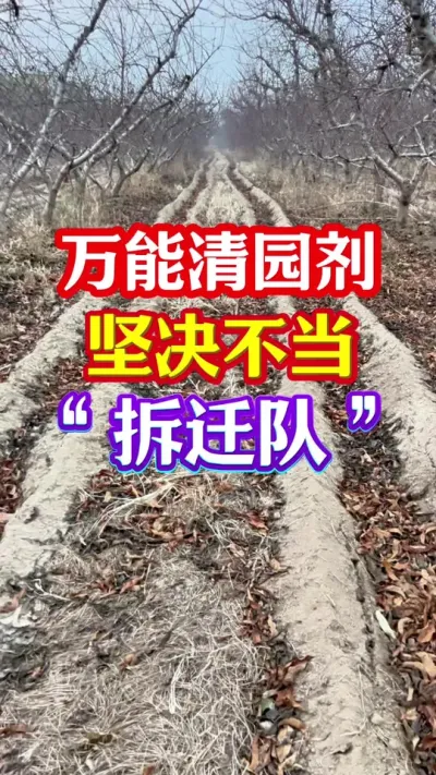 #果树清园 #清园剂 #果树管理 #分享农业知识帮农民增产增收 #抖音助农