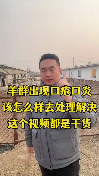 羊群得了口疮口炎该怎么办   #羊口疮烂嘴  #每天分享牛羊养殖小知识  #新手养羊攻略  #关注我每天坚持分享知识