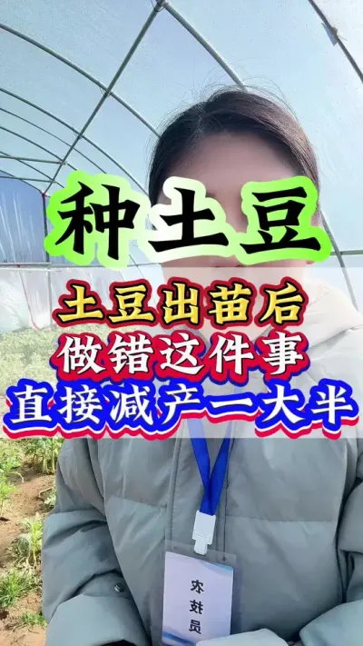 土豆出苗后做错这件事直接减产一大半#土豆种植 #土豆 #种土豆 #土豆高产种植 #种植小技巧