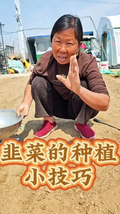 韭菜的种植小技巧 韭菜怎么种出芽高好管理#韭菜种植 #种植小技巧 #蔬菜种植 #生菜杨姐 #三农 @DOU+小助手