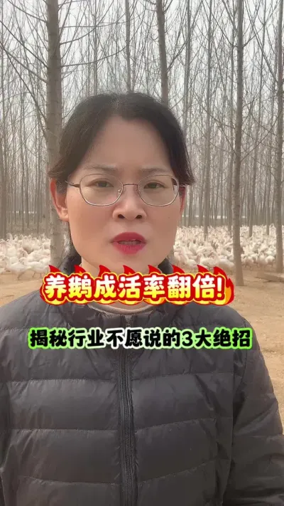 养鹅成活率翻倍！揭秘行业不愿说的3大绝招。#狮头鹅 #每天分享养殖技术和经验 #养鹅人 #养鹅技术分享 #鹅