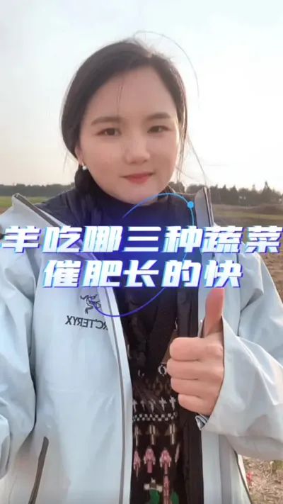 羊吃哪三种蔬菜催肥长的快#养羊技术分享 #羊价行情 #农村创业养殖 #养羊人 #自繁自养