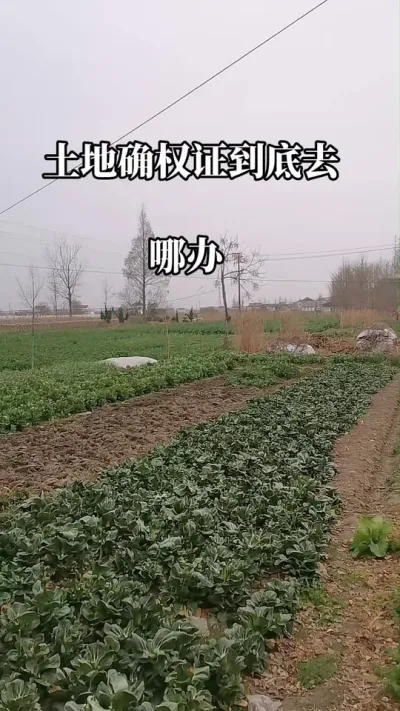 #土地确权证到底去哪办#老百姓关心的话题