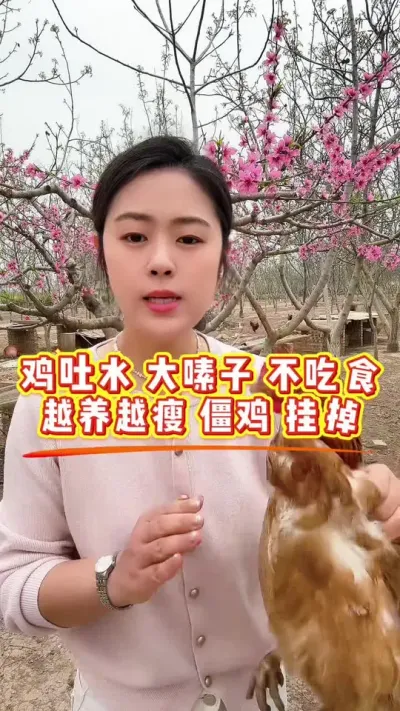 鸡吐水大素子不吃食，越养越瘦，僵鸡，挂掉怎么办 #科学养鸡 #鸡鸭鹅养殖 #养殖小妙招 #服务三农支持三农 #鸡病防治