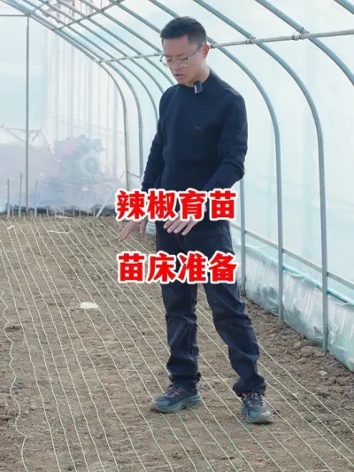 准备苗床开始春季辣椒育苗工作#辣椒种植 #辣椒 #小米辣 #线椒 #来抖音学农技