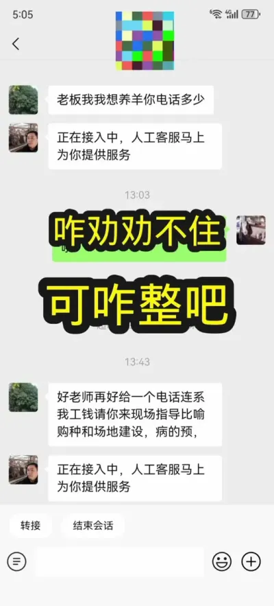 我是劝不住了，是真犟。你们谁爱劝谁劝吧#养羊 #农村养羊 #养殖人的心酸 #养羊创业 #养羊人