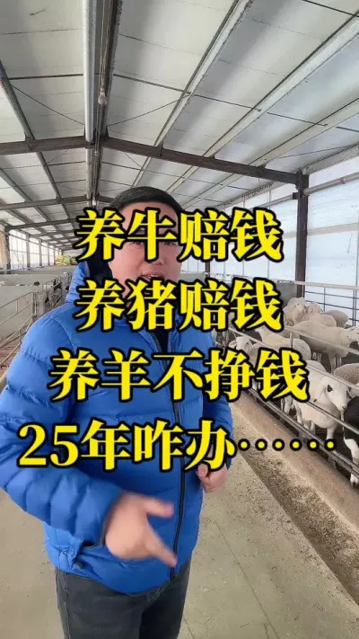 二五年养殖人应该何去何从#每天分享牛羊养殖小知识 #三农养殖 #养殖场专用