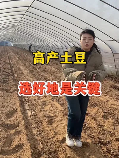 什么样的地块，更适合土豆高产#土豆 #土豆高产种植 @抖音小助手