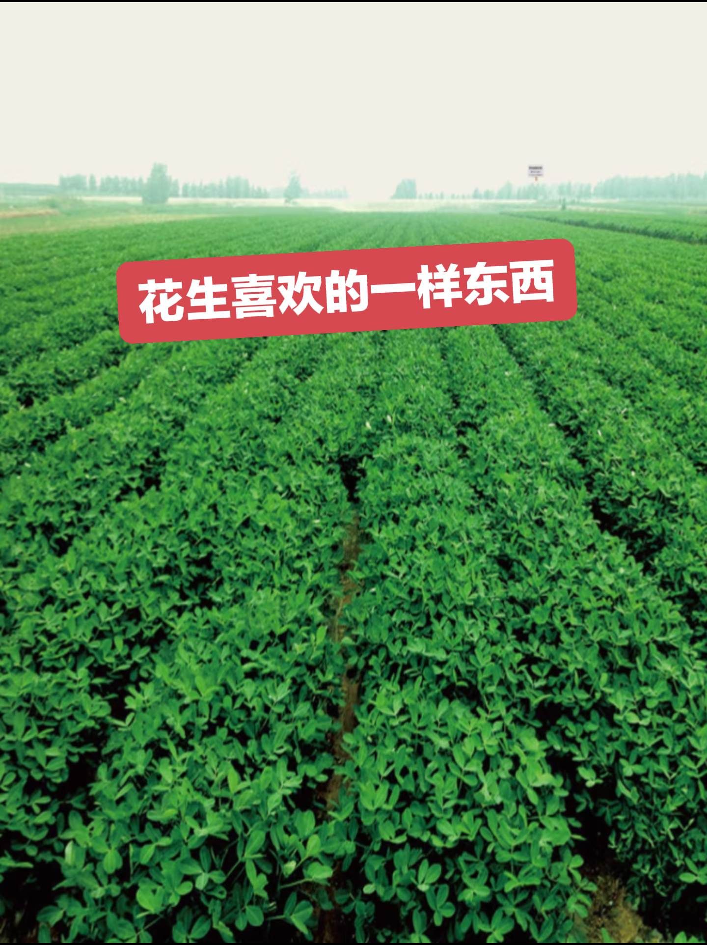 http://static.ixuenong.com/pxn/uploads/prod/thirdfile/2025/05/de9e29237576bfc0dad3b10f8756c83f.jpg