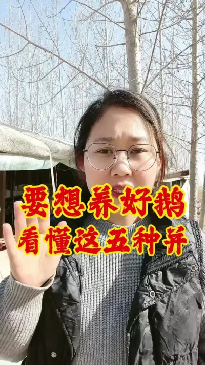 要想养好鹅，看懂这五种并#科学养鹅 #养鹅 #养鹅技术分享 #养鹅技术 #养鹅人