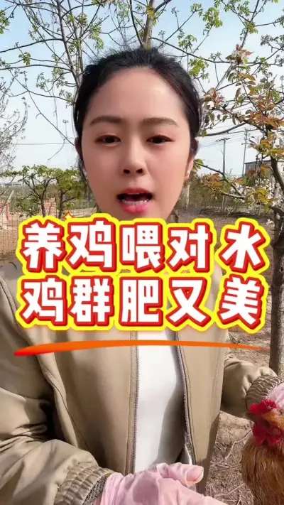 养鸡为对水，鸡群肥又美 #养鸡#科学养鸡#养鸡妙招#鸡驱虫#散养土鸡