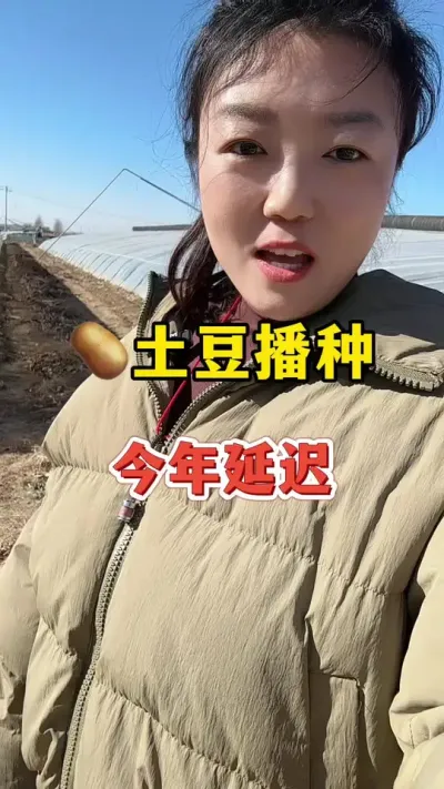 土豆播种今年延迟了#土豆高产种植 #土豆 @抖音小助手
