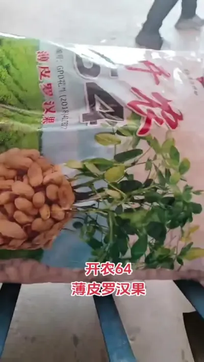#花生 #抖音助农 #农业人 #农业种植技术 #种地不容易