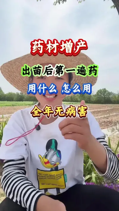 药材种植 药材出苗后第一遍药 #药材种植 #药材管理 #药材高产