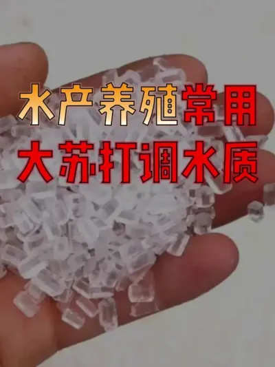 #水产人  速看！#水产养殖  想用好硫代硫酸钠，一定要知道这些&hellip;&hellip; #水产养殖技术  #水产