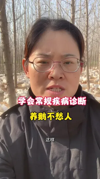 学会常规疾病诊断，养鹅不愁人。#养鹅技术分享 #科学养鹅 #养鹅人 #三农 #养殖人加油